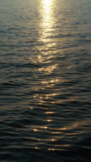 Golden Sun’s Reflection on Rippling Dark Water