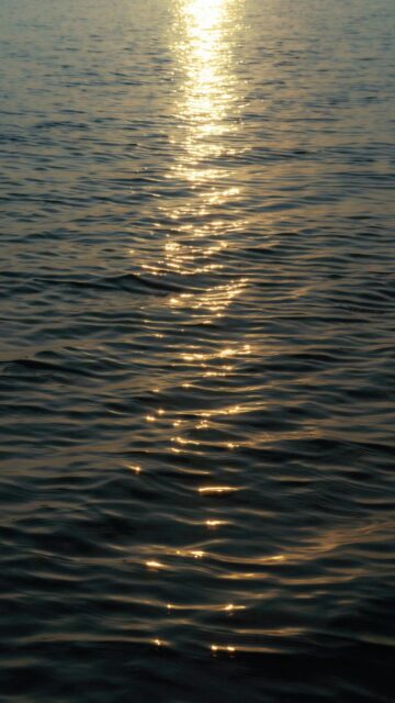 Golden Sun's Reflection on Rippling Dark Water