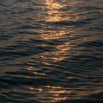 Golden Hour Reflections on Water