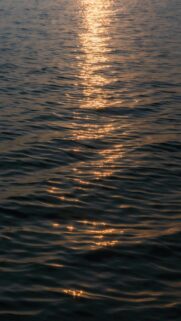 Golden Hour Reflections on Water