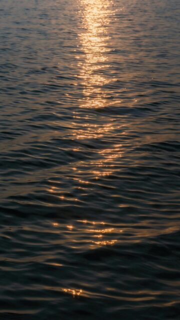 Golden Hour Reflections on Water