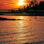 golden-sunset-over-tranquil-ocean-with-silhouetted-trees-mobile-wallpaper