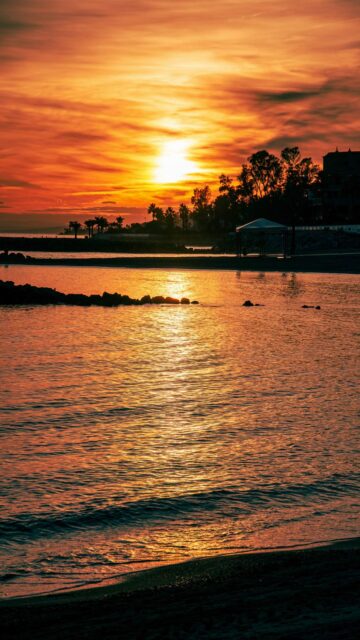 golden-sunset-over-tranquil-ocean-with-silhouetted-trees-mobile-wallpaper