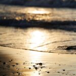 golden-sunset-reflecting-on-a-wet-sandy-beach-mobile-wallpaper