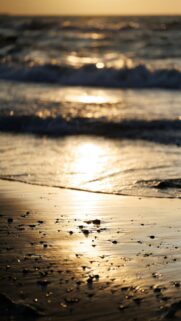 golden-sunset-reflecting-on-a-wet-sandy-beach-mobile-wallpaper