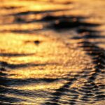 Golden Hour at the Beach
