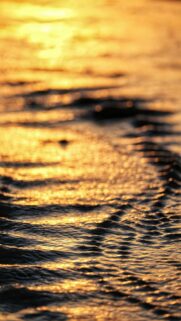 Golden Hour at the Beach