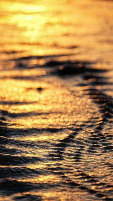 Golden Hour at the Beach