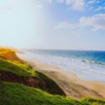 Serene Ocean View: Grassy Cliff Overlooking Sandy Beach
