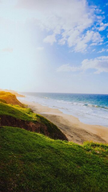 Serene Ocean View: Grassy Cliff Overlooking Sandy Beach