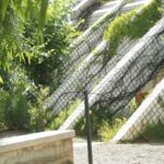 Nature's Harmony: Greenery on Modern Architecture