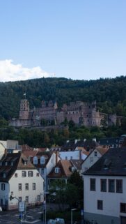 Heidelberg Castle Overlooks Historic Town