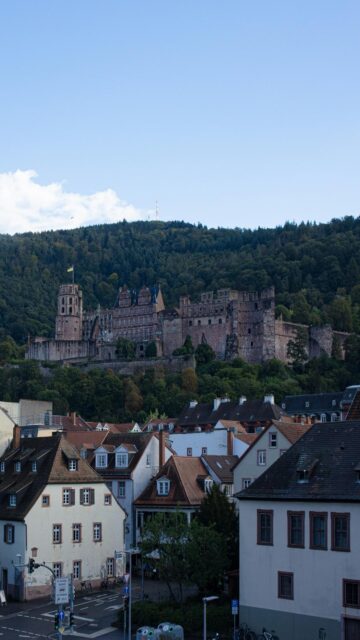 Heidelberg Castle Overlooks Historic Town