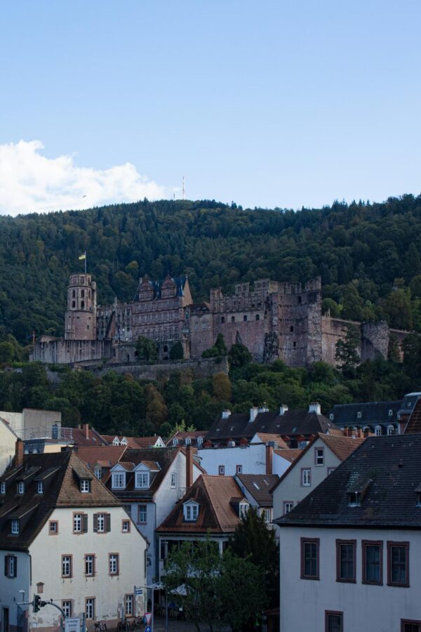 Heidelberg Castle Overlooks Historic Town