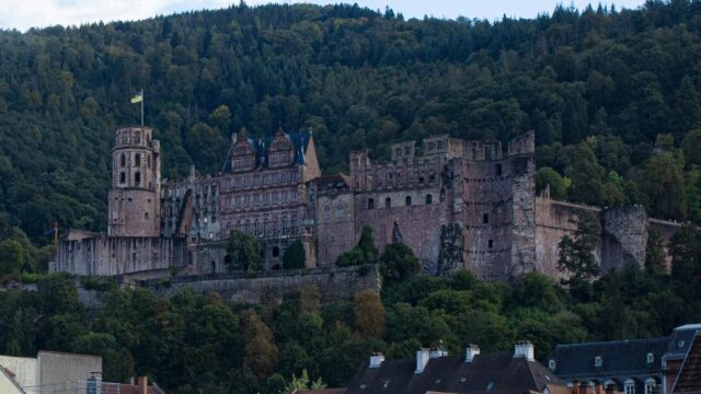 Heidelberg Castle Overlooks Historic Town