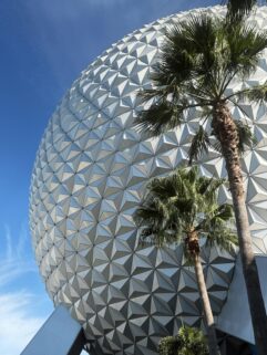 Iconic Geodesic Sphere At Epcot With Palm Trees Under A Clear Sky – Free 4K HD Download