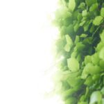 Lush Green Leaves Wallpaper