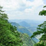 Lush Green Mountain Landscapes
