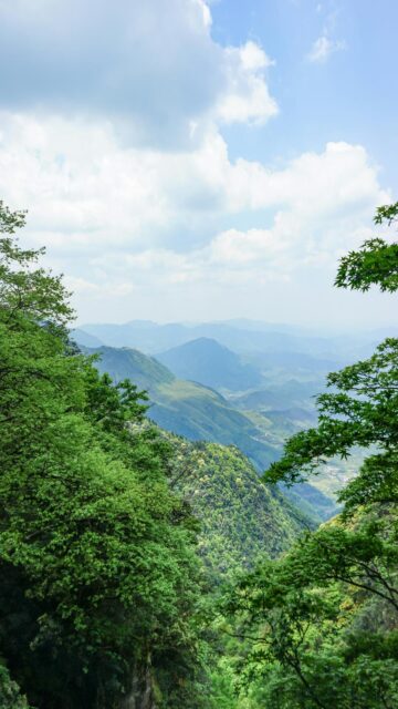 Lush Green Mountain Landscapes