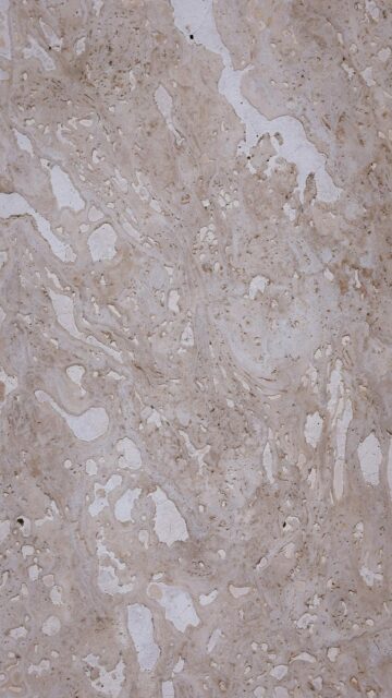 Breathtaking Cellular Landscape