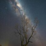 star-filled-night-sky-above-a-lone-tree