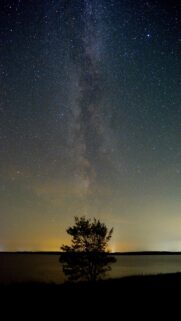 Milky Way Over Solitary Tree By Water