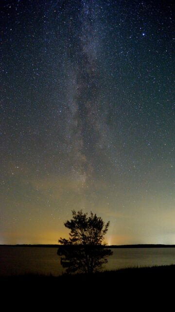 Milky Way Over Solitary Tree By Water