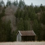 rustic-landscape-mobile-wallpaper