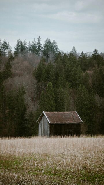 rustic-landscape-mobile-wallpaper