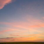 Vibrant Sunset Over Yellow Field