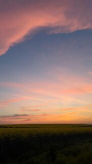 Vibrant Sunset Over Yellow Field