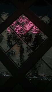 Pink Reflection on Textured Glass Squares
