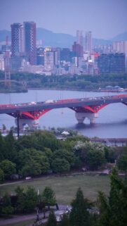 Urban Oasis: Red Bridge Over River with City Skyline