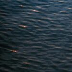Rippling Dark Blue Water with Golden Light Reflections