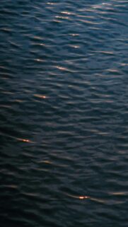 Rippling Dark Blue Water with Golden Light Reflections