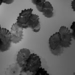 Glass Flower Wall Decor Inspiration