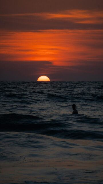 Sunset Swim