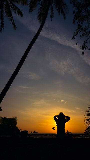 Soothing Sunset Silhouette by the Ocean