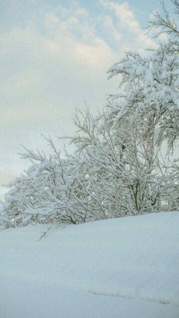 Winter Wonderland - Snowy Mountain Scene