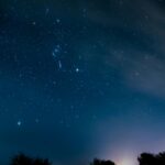 Starry Night Sky Over Silhouetted Trees And Distant Lights