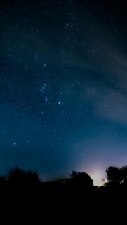 Starry Night Sky Over Silhouetted Trees And Distant Lights