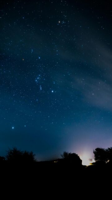 Starry Night Sky Over Silhouetted Trees And Distant Lights