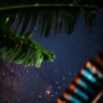 Cosmic Oasis