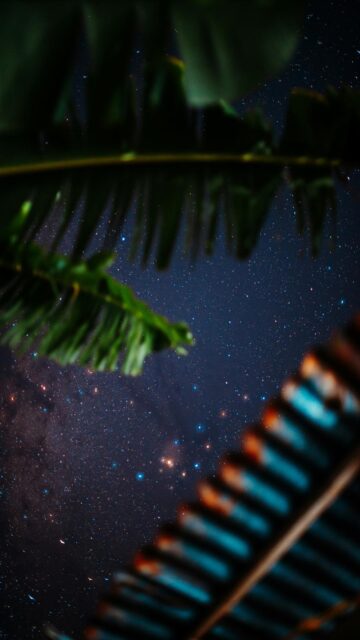 Cosmic Oasis