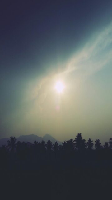 Sunny Skies Over Palm Trees And Mountains