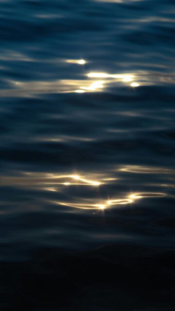serene-morning-by-the-water