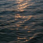 Serene Water Scene with Sunlight Glinting
