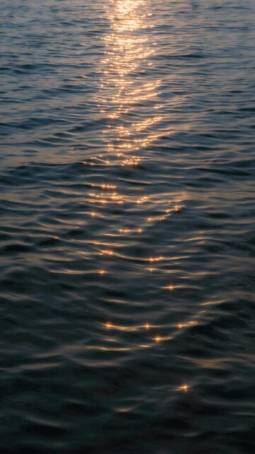 Serene Water Scene with Sunlight Glinting