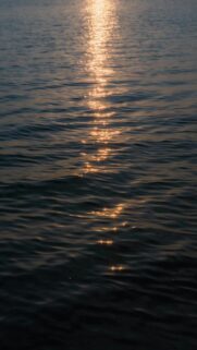Sunlight Reflecting On The Surface Of Water