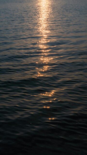 Sunlight Reflecting On The Surface Of Water